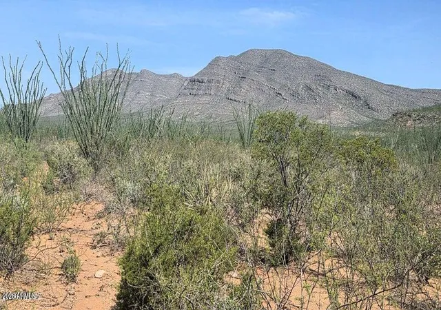 Photo 3 of Land for sale at Tbd E Windmill Rd, Tombstone, AZ 85638 | MLS# 7067792 | Listing updated on 2026-08-22