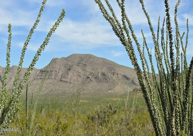 Photo 4 of Land for sale at Tbd E Windmill Rd, Tombstone, AZ 85638 | MLS# 7067792 | Listing updated on 2026-08-22