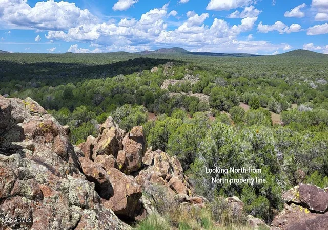 45th image of 13664 Round Mountain Expy, Ash Fork, AZ 86320 | MLS# 7067811