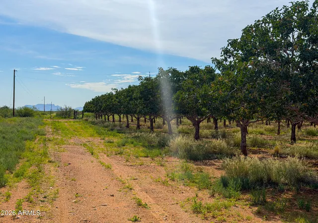Photo 3 of Land for sale at 0 E Phillips Rd 40 Acres, Willcox, AZ 85643 | MLS# 7067845 | Listing updated on 2026-08-19