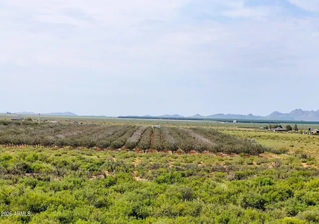 Photo 4 of Sale Pending at 0 E Phillips Rd 40 Acres, Willcox, AZ 85643 | MLS# 7067845 | Listing updated on 2026-10-10