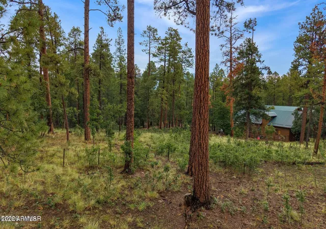 1st image of 8 County Road 2070 #137, Alpine, AZ 85920 | MLS# 7068040