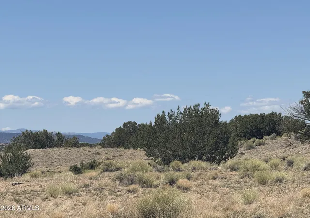 1st image of Lot 753 Woodland Valley Ranch #753, St Johns, AZ 85936 | MLS# 7068786