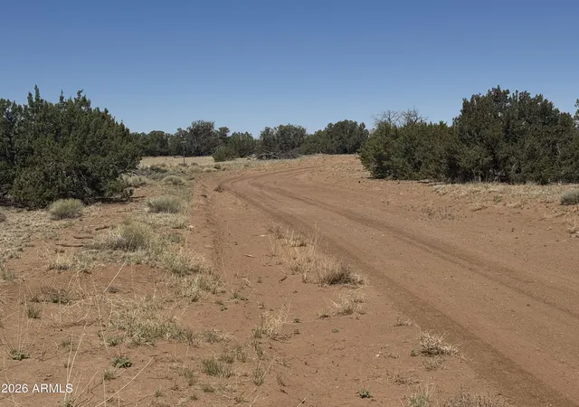 23rd image of Lot 753 Woodland Valley Ranch #753, St Johns, AZ 85936 | MLS# 7068786
