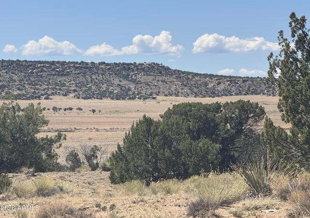 Photo 3 of Land for sale at Lot 753 Woodland Valley Ranch #753, St Johns, AZ 85936 | MLS# 7068786 | Listing updated on 2026-08-19