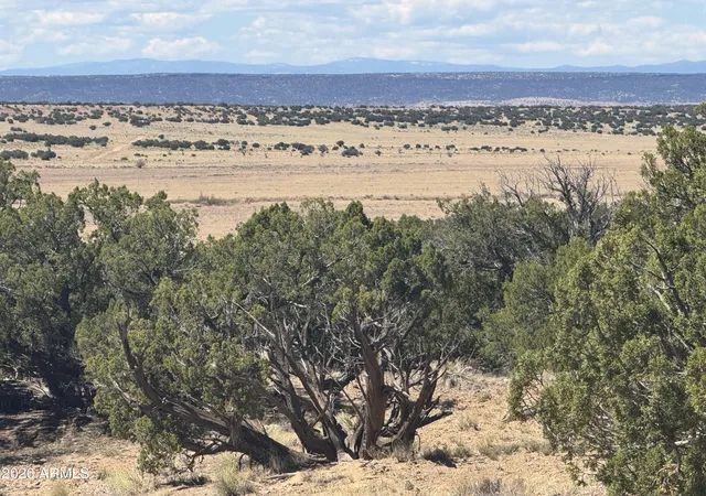 Photo 3 of Land for sale at Lot 753 Woodland Valley Ranch #753, St Johns, AZ 85936 | MLS# 7068786 | Listing updated on 2026-08-19