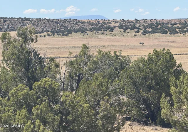 Photo 4 of Land for sale at Lot 753 Woodland Valley Ranch #753, St Johns, AZ 85936 | MLS# 7068786 | Listing updated on 2026-08-19