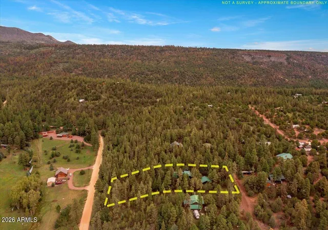 43rd image of 5 County Road 2034, Nutrioso, AZ 85932 | MLS# 7068421