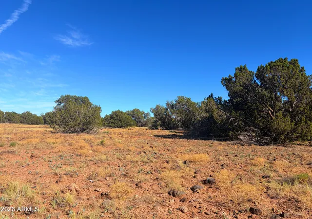 Photo 1 of Land for sale at 8571 Elkhorn Dr #380, Show Low, AZ 85901 | MLS# 7069067 | Listing updated on 2026-09-30