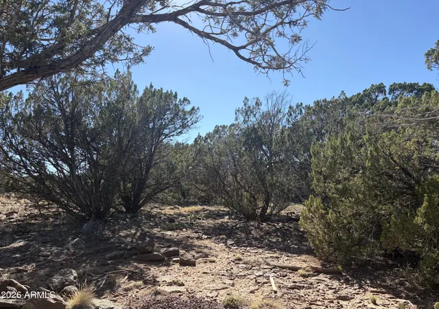 Photo 2 of Land for sale at 8571 Elkhorn Dr #380, Show Low, AZ 85901 | MLS# 7069067 | Listing updated on 2026-09-30