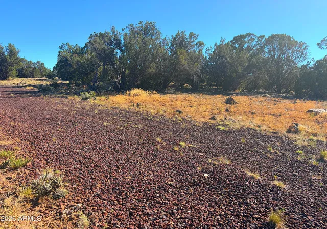 Photo 3 of Land for sale at 8571 Elkhorn Dr #380, Show Low, AZ 85901 | MLS# 7069067 | Listing updated on 2026-09-30