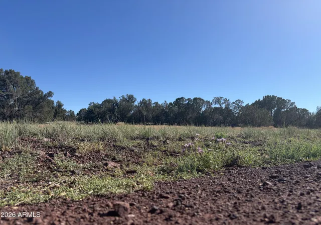 Photo 3 of Land for sale at 8571 Elkhorn Dr #380, Show Low, AZ 85901 | MLS# 7069067 | Listing updated on 2026-09-30