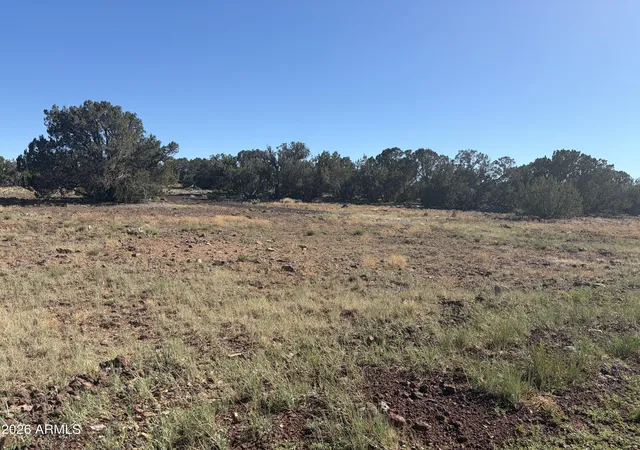 Photo 4 of Land for sale at 8571 Elkhorn Dr #380, Show Low, AZ 85901 | MLS# 7069067 | Listing updated on 2026-09-30