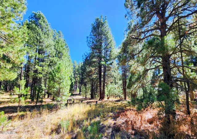 1st image of 1958 Ferret Cir #260, Forest Lakes, AZ 85931 | MLS# 7068830