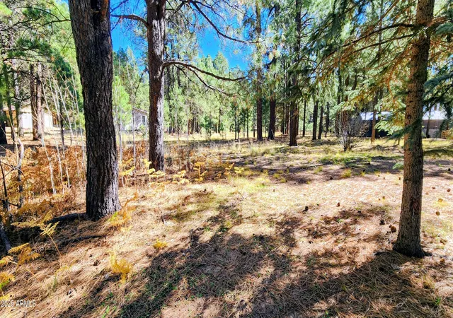 2nd image of 1958 Ferret Cir #260, Forest Lakes, AZ 85931 | MLS# 7068830