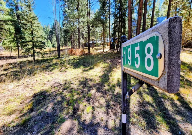 3rd image of 1958 Ferret Cir #260, Forest Lakes, AZ 85931 | MLS# 7068830