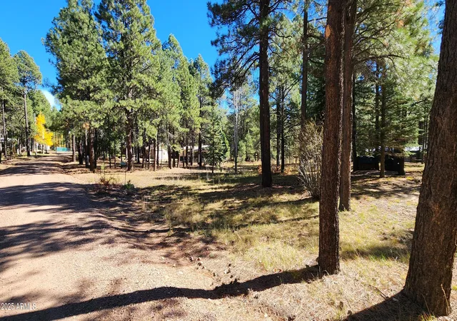 4th image of 1958 Ferret Cir #260, Forest Lakes, AZ 85931 | MLS# 7068830