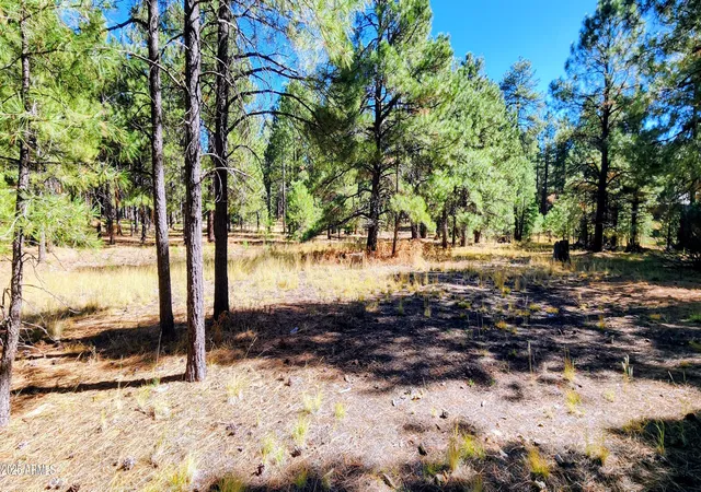 5th image of 1958 Ferret Cir #260, Forest Lakes, AZ 85931 | MLS# 7068830