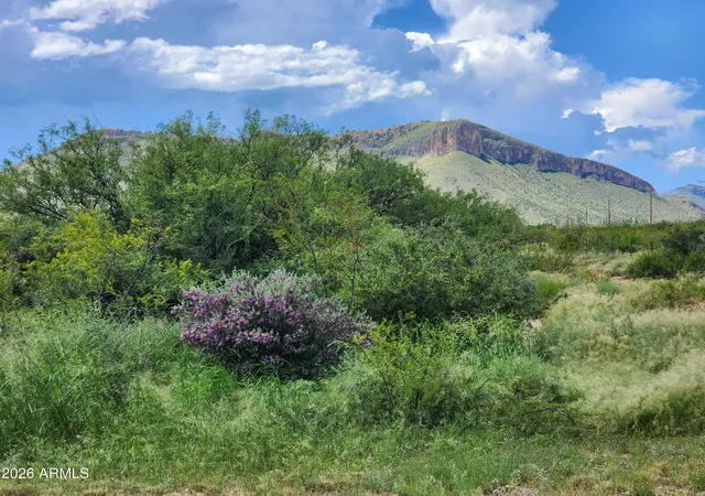 1st image of Lot 5 E Hwy 82 #2, Huachuca City, AZ 85616 | MLS# 7069497
