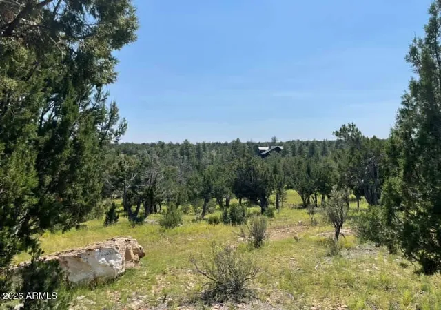 Photo 1 of Land for sale at 4367 Sunset Ridge Loop #178, Happy Jack, AZ 86024 | MLS# 7073465 | Listing updated on 2026-08-31