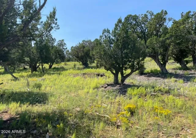 Photo 2 of Land for sale at 4367 Sunset Ridge Loop #178, Happy Jack, AZ 86024 | MLS# 7073465 | Listing updated on 2026-08-31