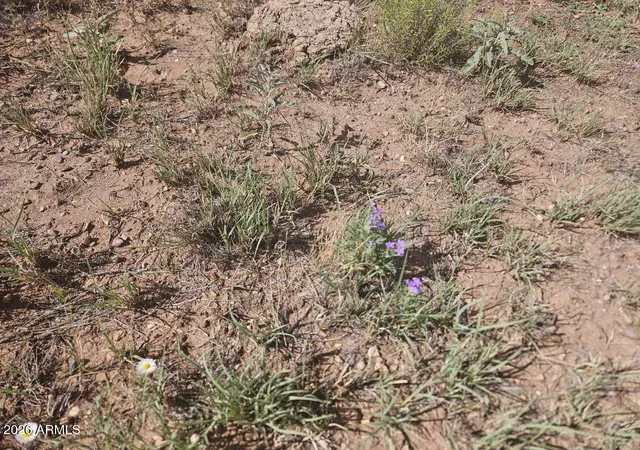13th image of 144 N County Road 9027 #47, Concho, AZ 85924 | MLS# 7069872