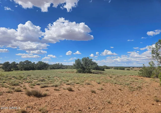 1st image of 144 N County Road 9027 #47, Concho, AZ 85924 | MLS# 7069872