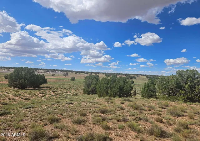 Photo 3 of Land for sale at 144 N County Road 9027 #47, Concho, AZ 85924 | MLS# 7069872 | Listing updated on 2026-08-21