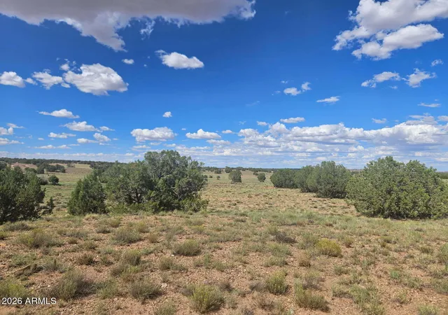 Photo 4 of Land for sale at 144 N County Road 9027 -- #47, Concho, AZ 85924 | MLS# 7069872 | Listing updated on 2026-08-21