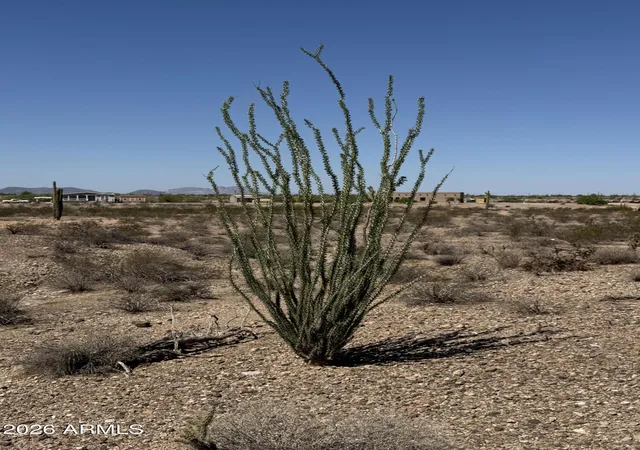 Photo 1 of Land for sale at 4446 N 335Th Ave N #21-11, Tonopah, AZ 85354 | MLS# 7070284 | Listing updated on 2026-10-29