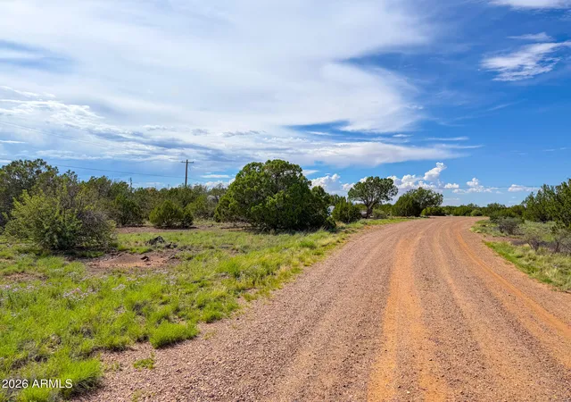 Photo 3 of Land for sale at 8543 & 8545 Loveridge Dr, Show Low, AZ 85901 | MLS# 7070881 | Listing updated on 2026-08-26
