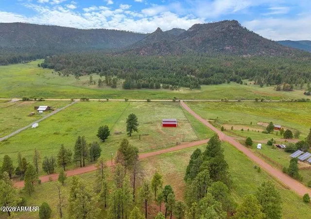 16th image of Tbd Cr 2276 #20, Nutrioso, AZ 85932 | MLS# 7070375