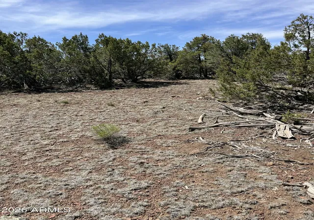 4th image of 10329 N Saint Francis Ave #48, Williams, AZ 86046 | MLS# 7070843