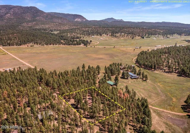 34th image of 8 Turkey Track Dr, Alpine, AZ 85920 | MLS# 7070670