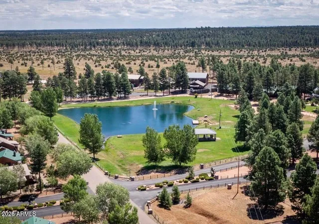Photo 3 of Land for sale at 2341 Quarter Horse Trl #196, Overgaard, AZ 85933 | MLS# 7070861 | Listing updated on 2026-09-24
