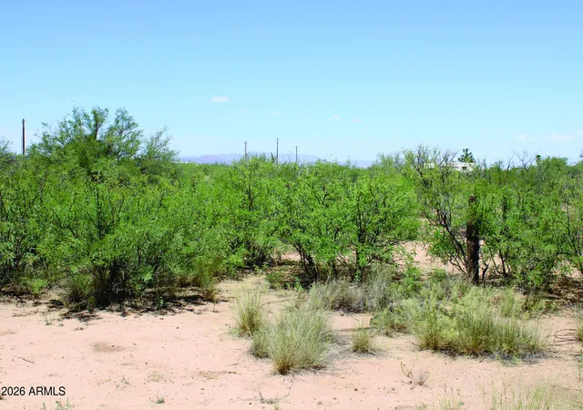 Land for sale at 5 Acres E Papago Wy #310, Cochise, AZ 85606 | MLS# 7071573