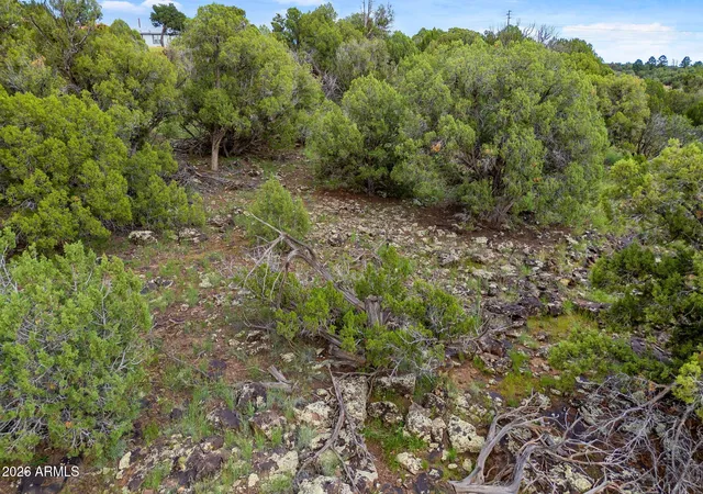 Photo 1 of Land for sale at 8281 &8283 Ridge Dr #11, Show Low, AZ 85901 | MLS# 7072179 | Listing updated on 2026-08-27