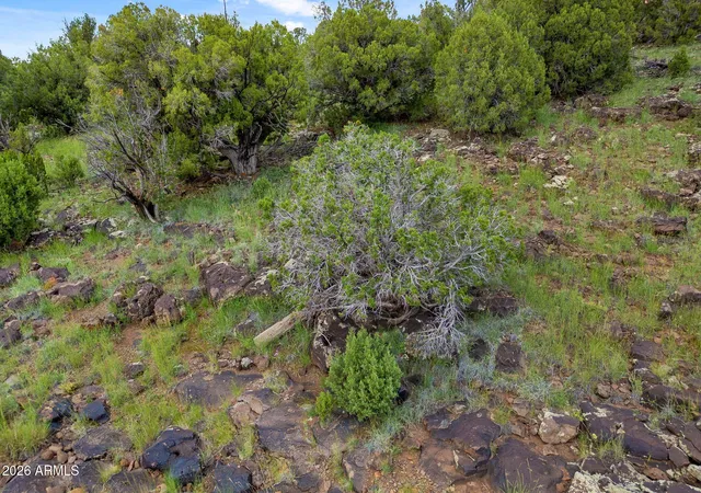 Photo 2 of Land for sale at 8281 &8283 Ridge Dr #11, Show Low, AZ 85901 | MLS# 7072179 | Listing updated on 2026-08-27