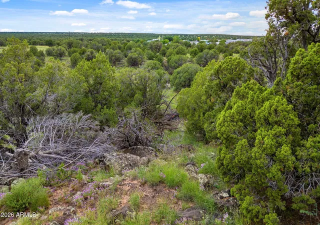 Photo 3 of Land for sale at 8281 &8283 Ridge Dr #11, Show Low, AZ 85901 | MLS# 7072179 | Listing updated on 2026-08-27