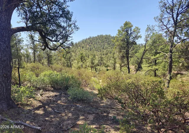 Photo 2 of Land for sale at 2400 E Rim Club Dr #105, Payson, AZ 85541 | MLS# 7072486 | Listing updated on 2026-08-28