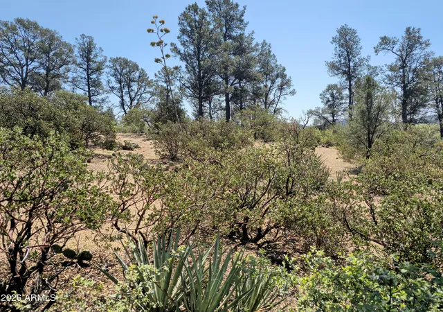 Photo 3 of Land for sale at 2400 E Rim Club Dr #105, Payson, AZ 85541 | MLS# 7072486 | Listing updated on 2026-08-28
