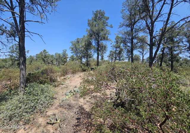 Photo 4 of Land for sale at 2400 E Rim Club Dr #105, Payson, AZ 85541 | MLS# 7072486 | Listing updated on 2026-08-28