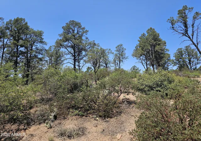 Photo 7 of Land for sale at 2400 E Rim Club Dr #105, Payson, AZ 85541 | MLS# 7072486 | Listing updated on 2026-08-28