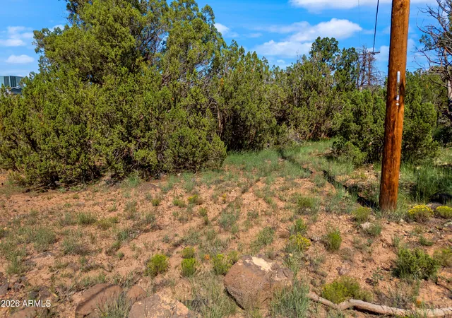 Photo 3 of Land for sale at 1845 Silver Lake Blvd #8, Show Low, AZ 85901 | MLS# 7073268 | Listing updated on 2026-08-30