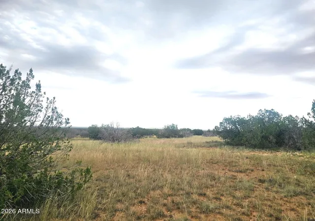 Photo 3 of Land for sale at 5075 Sidlyn Rd, Heber, AZ 85928 | MLS# 7073069 | Listing updated on 2026-08-29