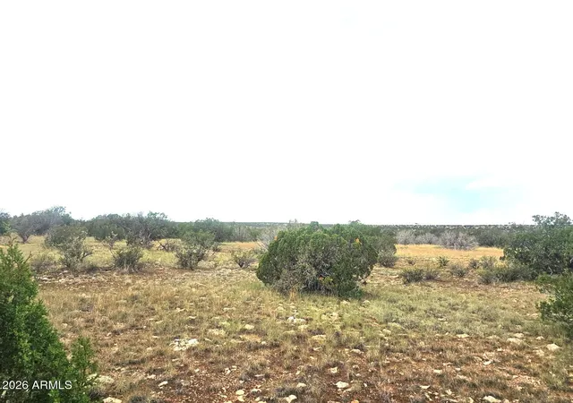 Photo 4 of Land for sale at 5075 Sidlyn Rd, Heber, AZ 85928 | MLS# 7073069 | Listing updated on 2026-08-29