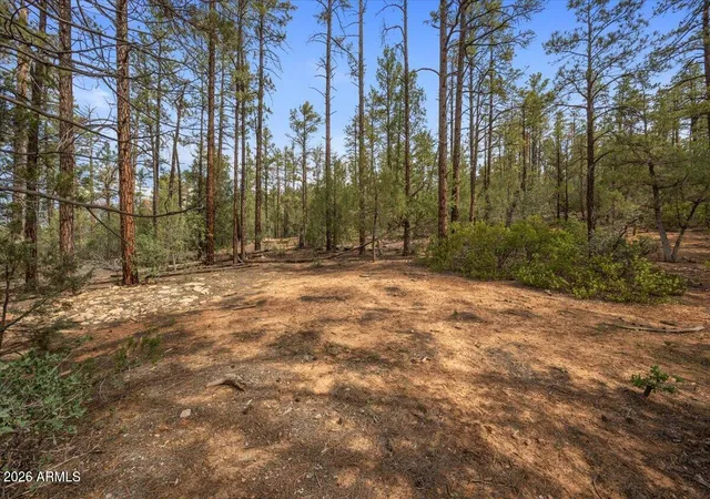 Photo 1 of Land for sale at Tbd Pine Needle Dr, Show Low, AZ 85901 | MLS# 7073267 | Listing updated on 2026-08-30