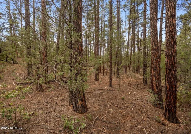 Photo 2 of Land for sale at Tbd Pine Needle Dr, Show Low, AZ 85901 | MLS# 7073267 | Listing updated on 2026-08-30