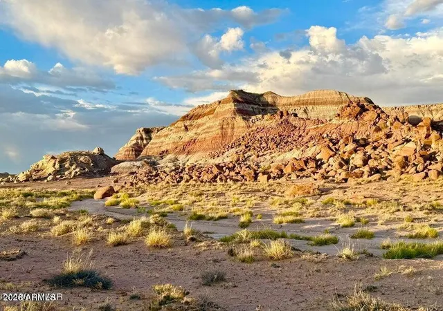 Land for sale at 8983 Down Under Rd 38.82 Acres --, Holbrook, AZ 86025 | MLS# 7073298