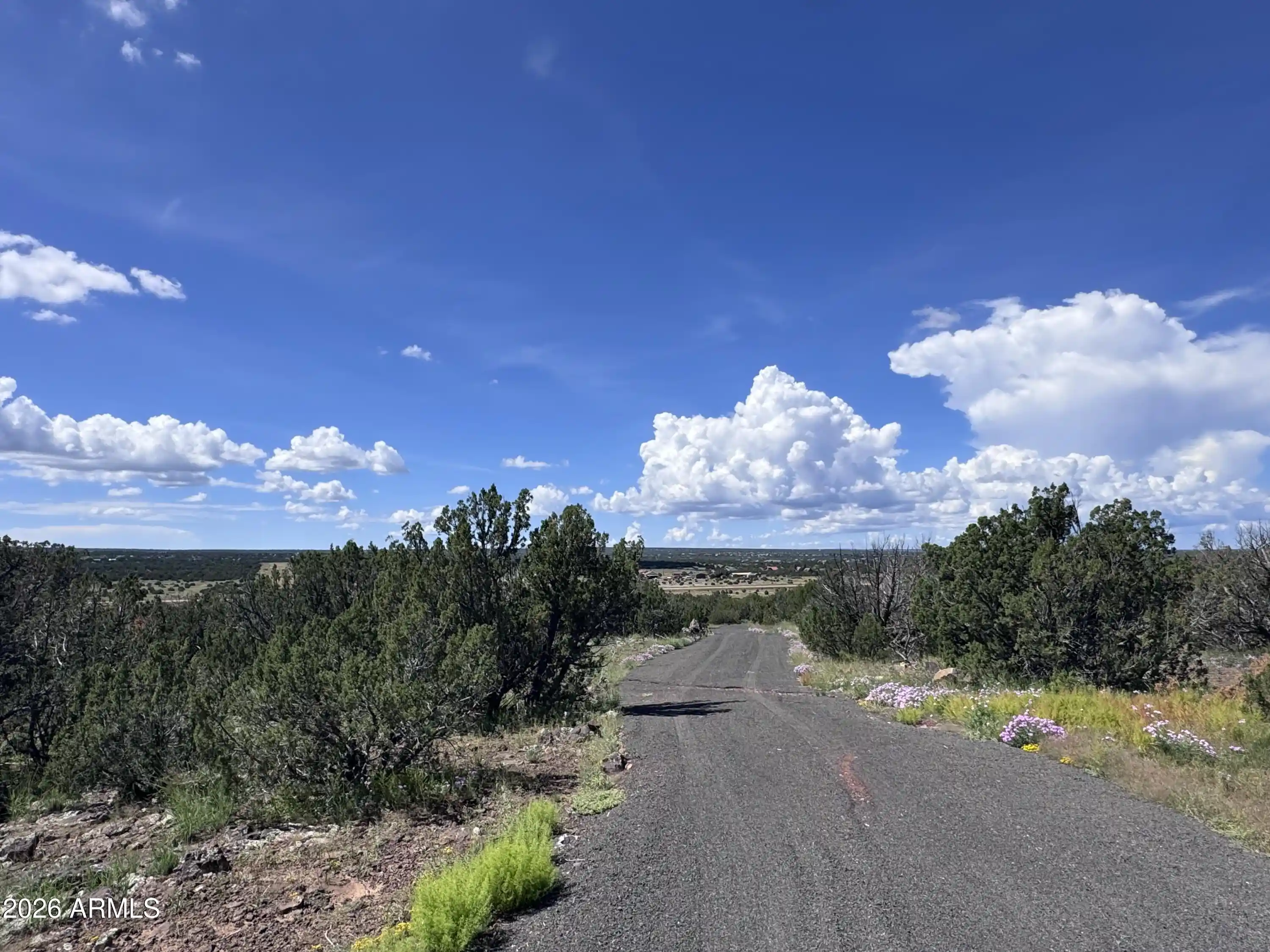 Photo 1 of Land for sale at 1939 Bourdon Ranch Rd, Show Low, AZ 85901 | MLS# 7075594 | Listing updated on 2026-09-14